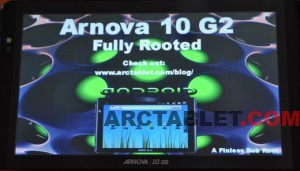 finless_root1_DSC_0020