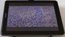 Archos97Carbon_1080p_Video_Birds_b_nowrmk