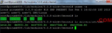 picuntu_rc3_kernel_modules_b