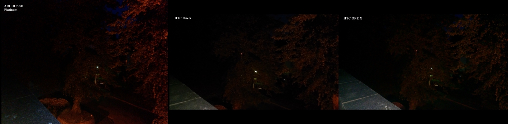 FULL night blitz on trees_nowrmk